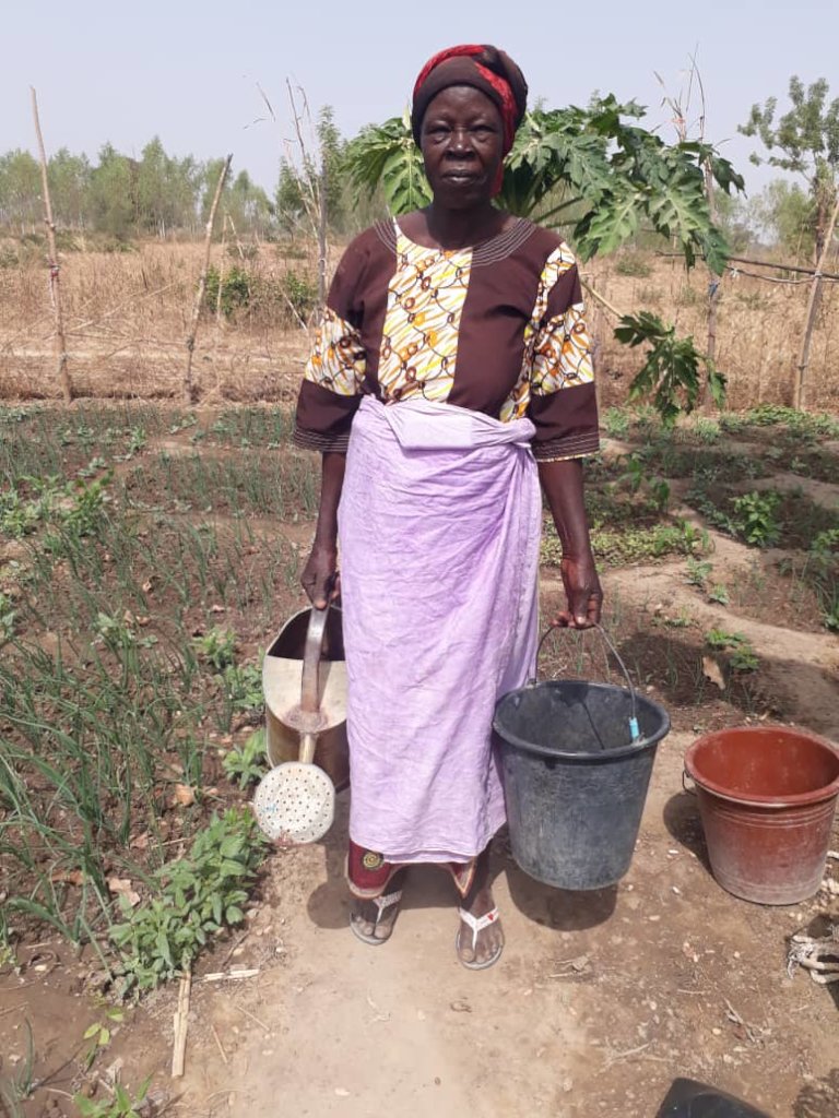 Community Micro-Irrigation Solar Project for Women