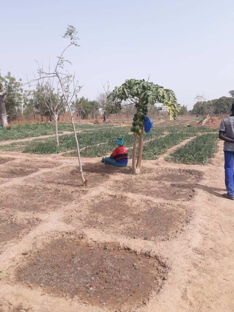 Community Micro-Irrigation Solar Project for Women
