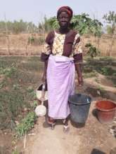 Irrigation water is supplied manually by women
