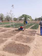 "Lagmtaaba la Nongo" women cooperative group