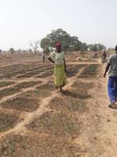 "Lagmtaaba la Nongo" vegetables farm