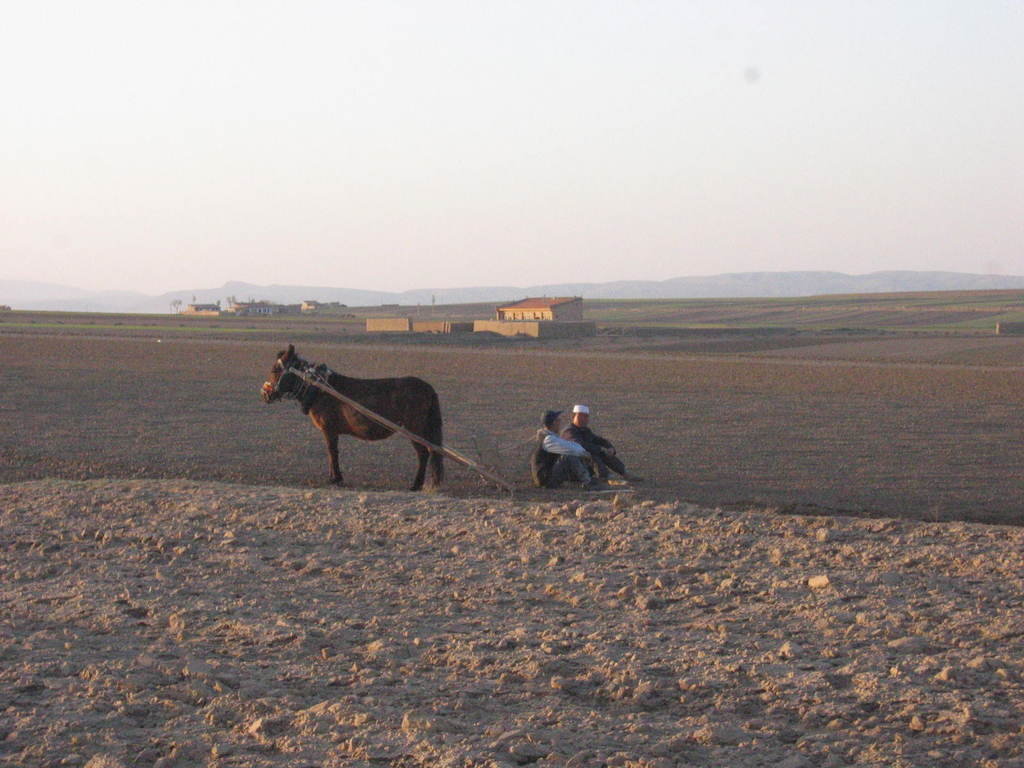 Education for children in Ningxia province, China