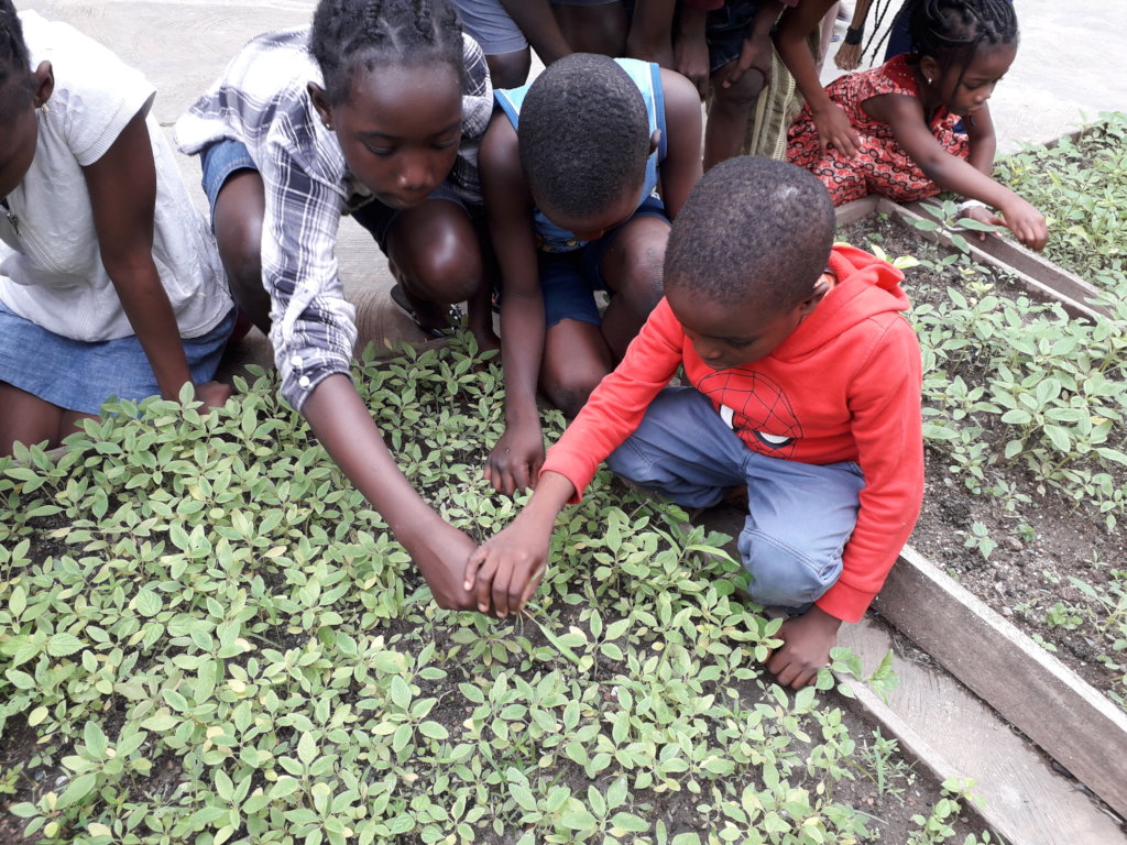 Children working in the garden