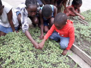 Children working in the garden