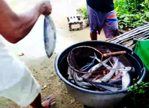 Monitoring to Fishing gear beneficiary