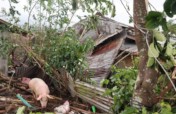 Typhoon Rolly (GONI) Emergency Response for Luzon