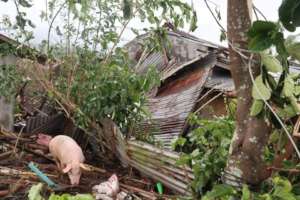 Typhoon Rolly (GONI) Emergency Response for Luzon