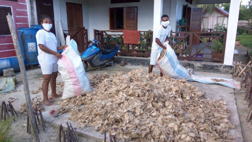 Coping with Covid - help support SEPALIM team