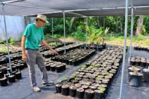 Botanical Garden: nursery development