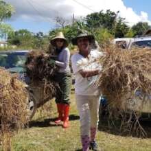 Clean Sweep Frederiksted