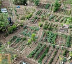 Clean Sweep Frederiksted: Aerial view of garden