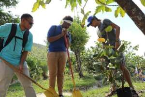 Friends of Virgin Islands National Park