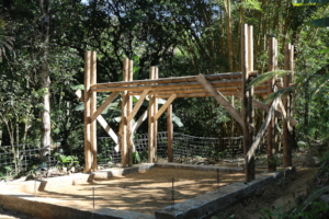 Community Seed Sanctuary, Boruca, Puntarenas, CR
