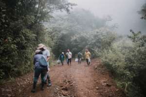 Seedling collection workshop with new project part