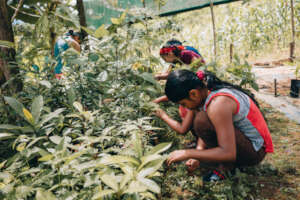 The children discovering the nursery