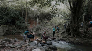 Volunteers helping with project tasks