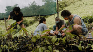 Volunteers working in the nursery