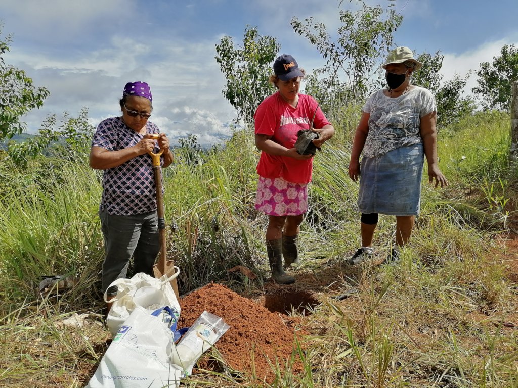 Our community leaders planting native trees