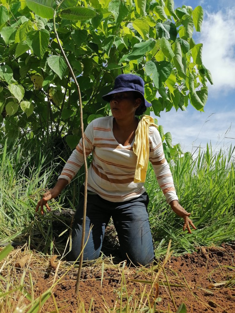 Indigenous women from the community planting