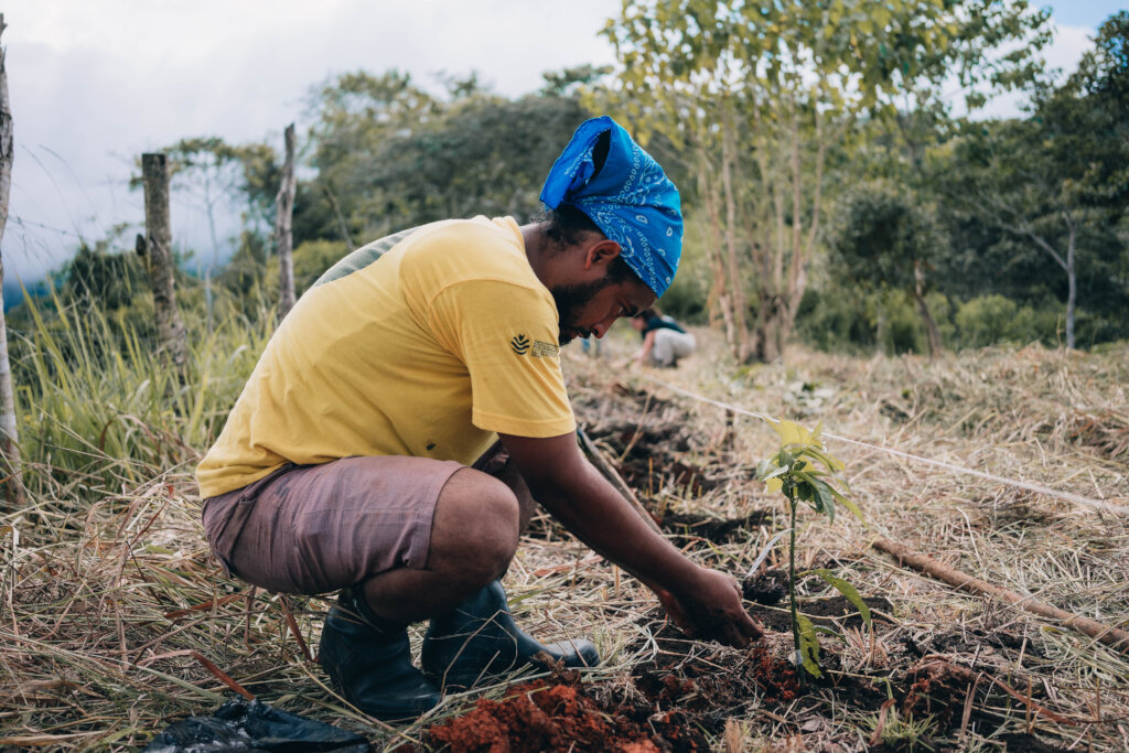 Help indigenous women conserve the environment