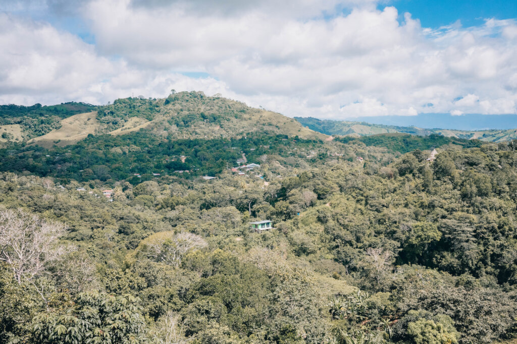 Help indigenous women conserve the environment