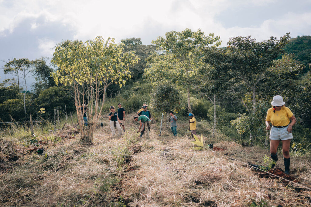 Help indigenous women conserve the environment