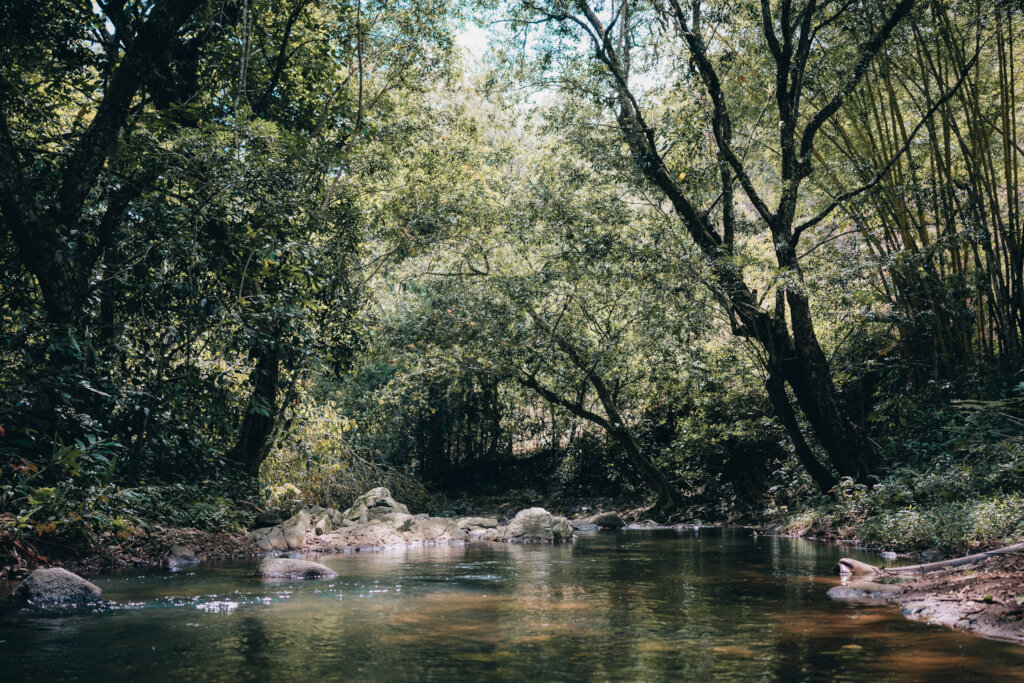 Help indigenous women conserve the environment
