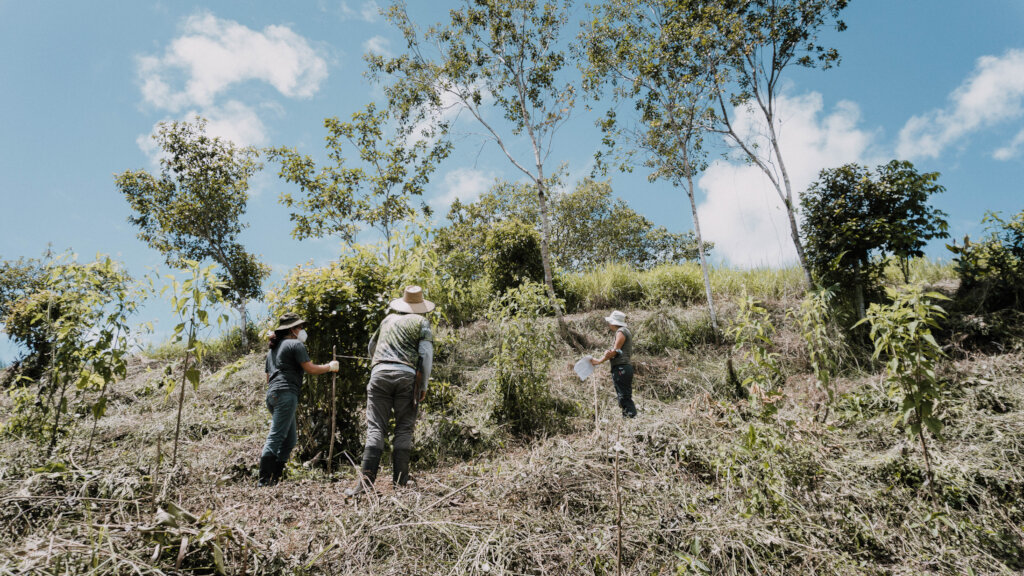 Help indigenous women conserve the environment