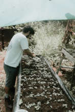 Our Project Director planting seeds