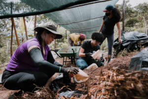 volunteers working in the nursery