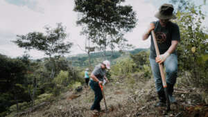 volunteers planting trees
