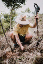 our CEO planting a tree