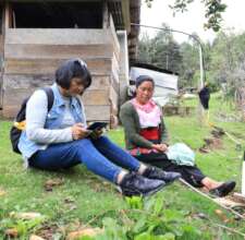 Applying the monitoring system
