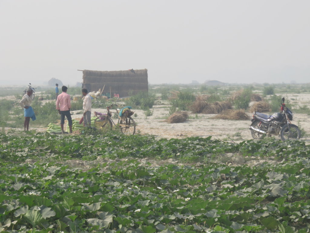 SAHAYATRA for River Bed Vegetable Farming