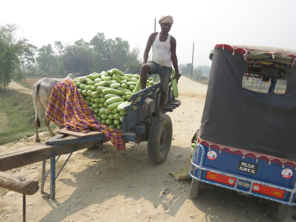 SAHAYATRA for River Bed Vegetable Farming