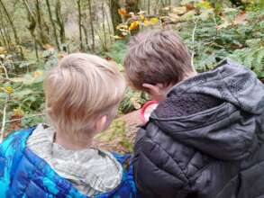 Primary Schools - Investigating Habitats