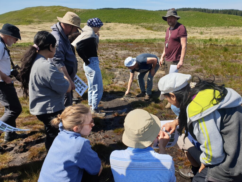 Volunteers Monitoring Peatland