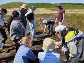 Volunteers Monitoring Peatland