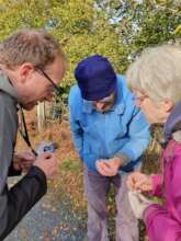 Looking for signs of Hazel Dormice