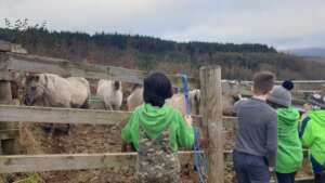 Nature Ambassadors meeting the koniks