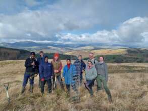 Volunteers planting trees in cactus guards