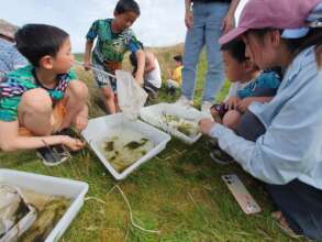 Refugees into Nature Activity Day