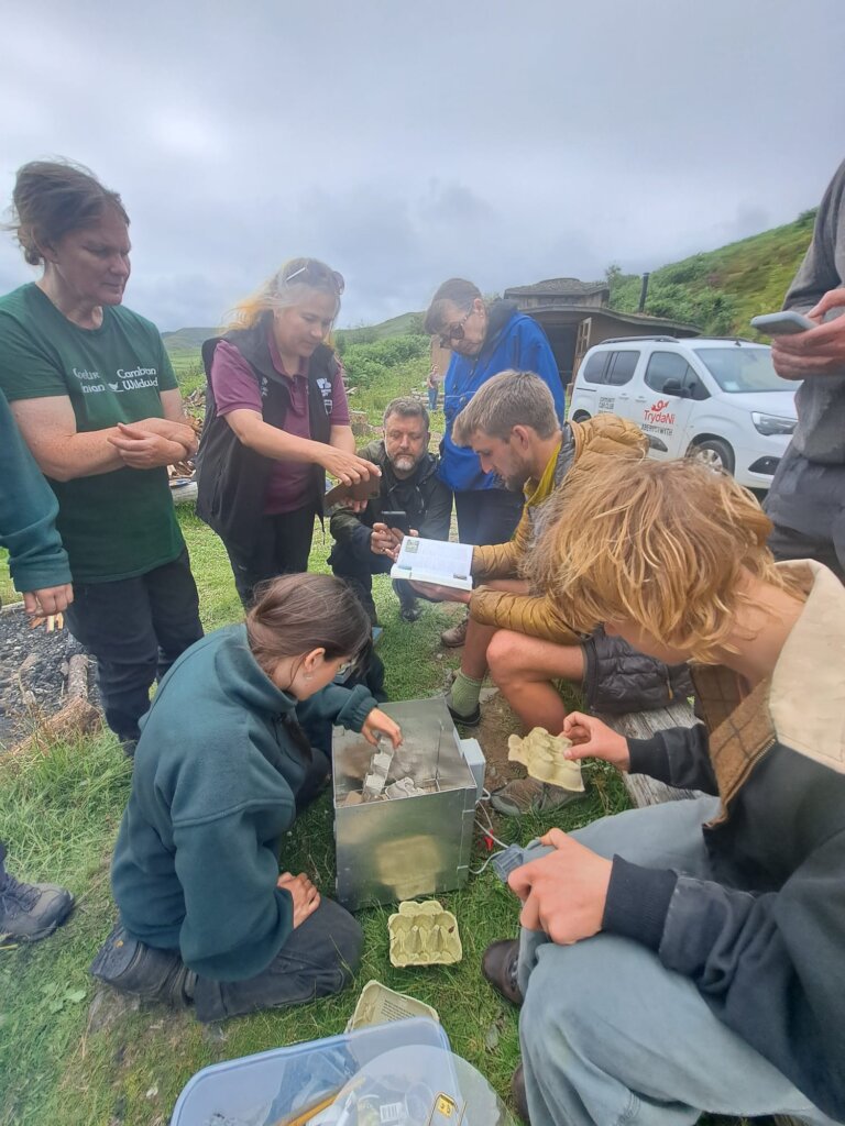 Community Event: Nature Nerds BioBlitz