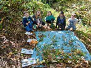 Pupils creating a collage with natural materials