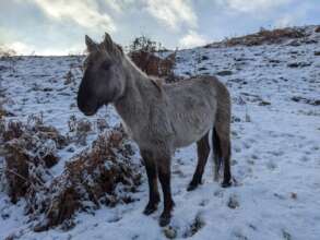 Winter coats for winter weather