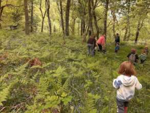 Tiny Tots on an Adventure