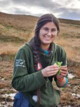 Volunteers planting sphagnum moss
