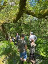 Open Day summer 2024