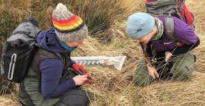 Volunteers on the Peatland