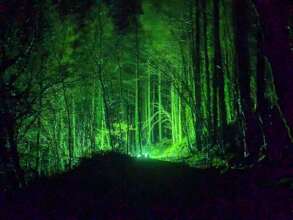 Moth traps light up the woods